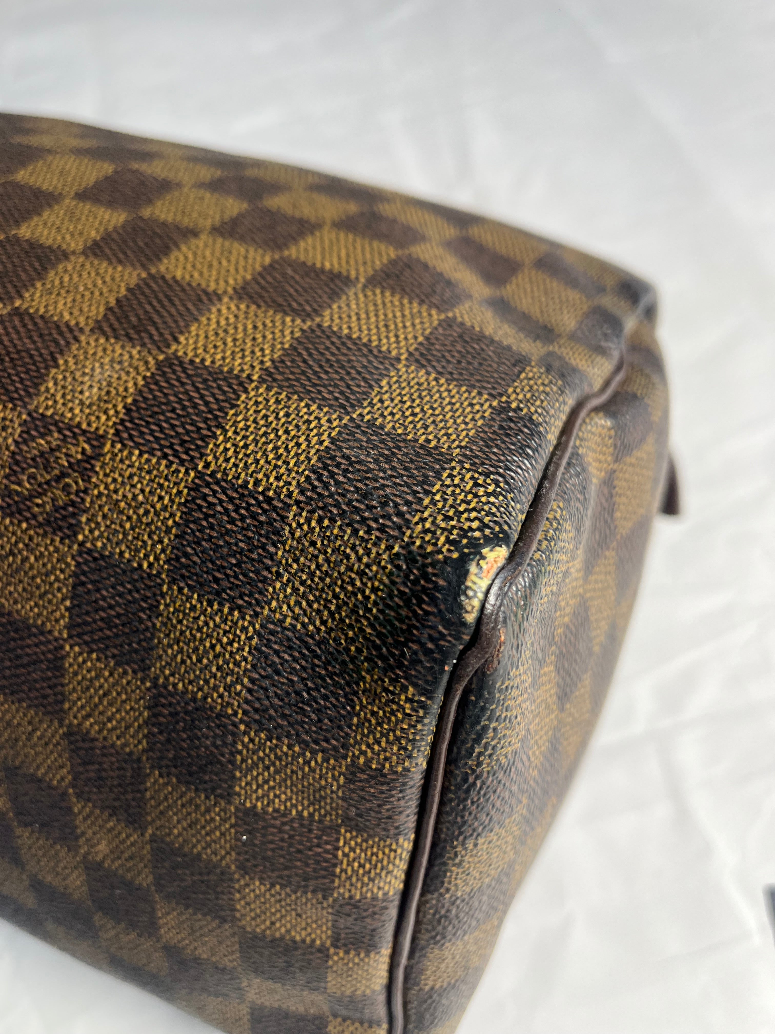 Louis Vuitton Damier Speedy 30
